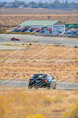 media/Nov-16-2024-Extreme Speed (Sat) [[6587d07cc4]]/Gold Group/Session 1 (Turn 2)/